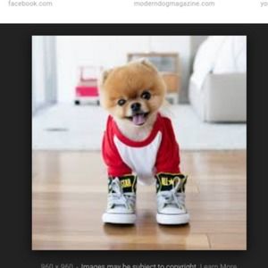 Meet your Posher, Sanaa'